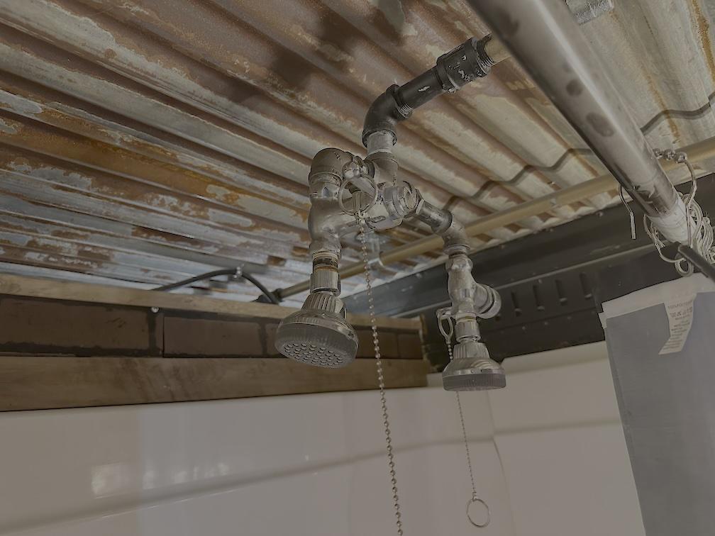 shower-small.jpg